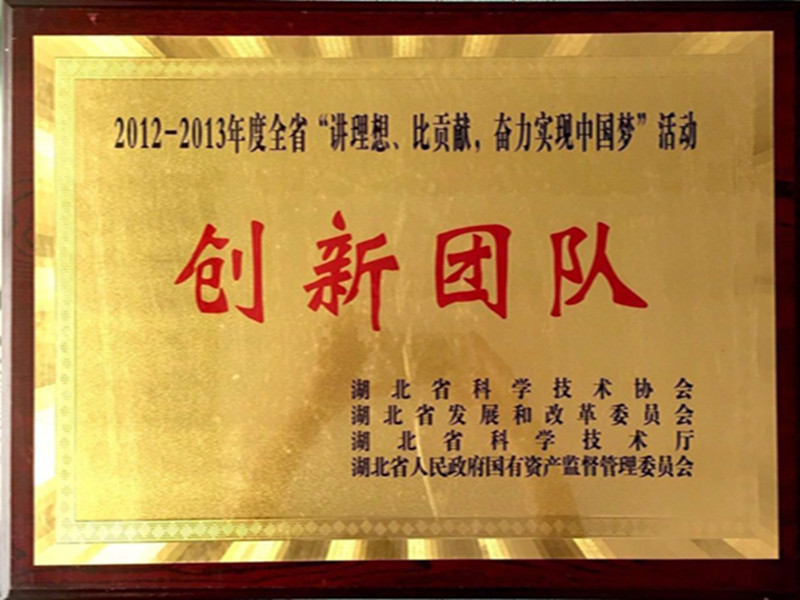 湖北省2012-2013年度“講理想，比貢獻”創(chuàng)新團隊.jpg